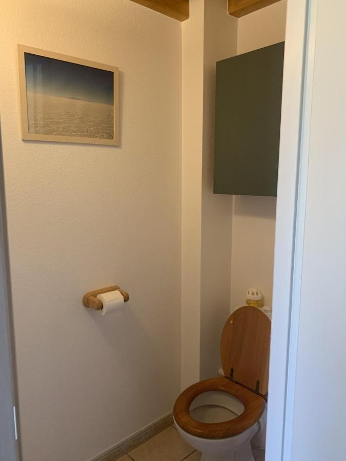 Appartement Dans Chalet Avec Jardin, Vue Montagne Aucun Exteriör bild